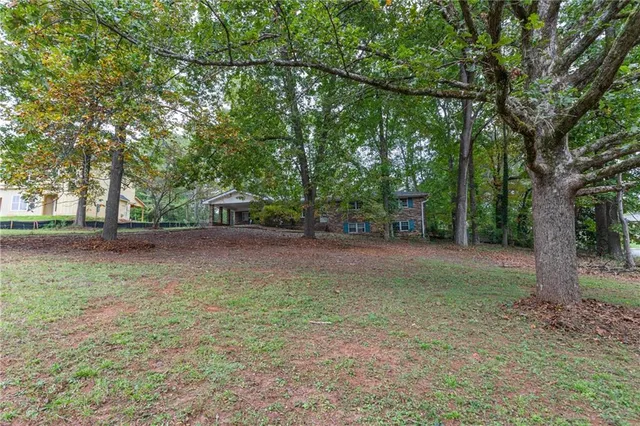 a view of backyard with tree