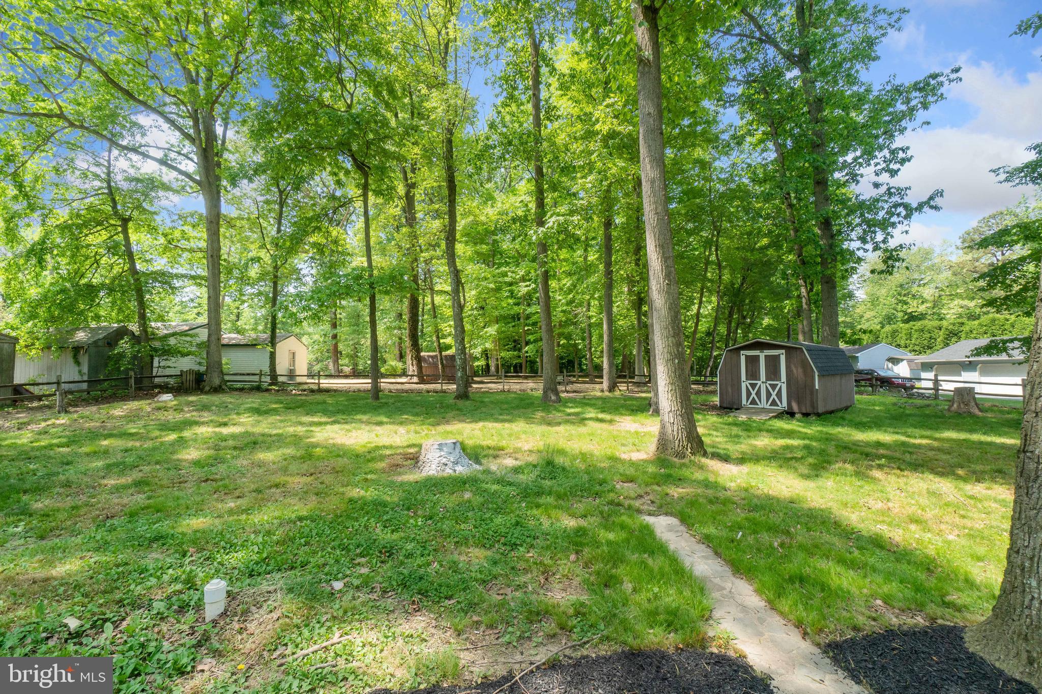 1949 Blue Ball Road Elkton, MD 21921 - Photo 11 of 33 Rear yard