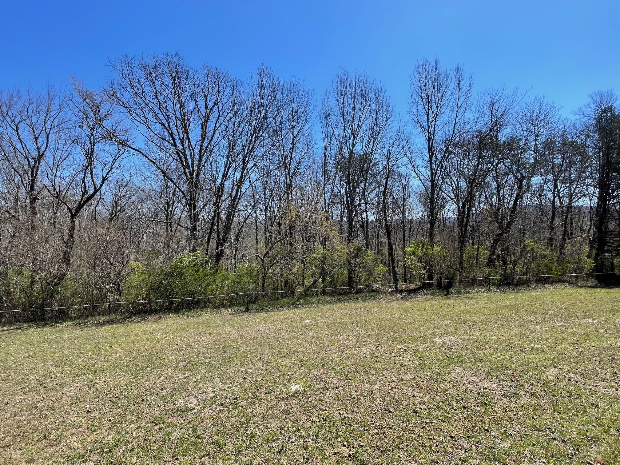 0 Open Range Road Crossville, TN 38555 - Photo 11 of 24 a view of a yard with trees in the background