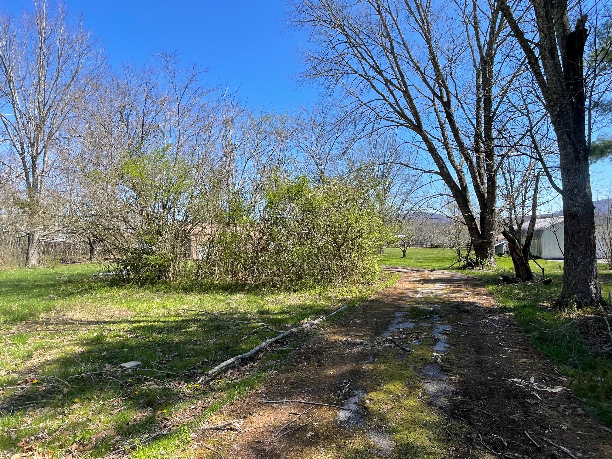 0 Open Range Road Crossville, TN 38555 - Photo 3 of 24 a view of a park with large trees