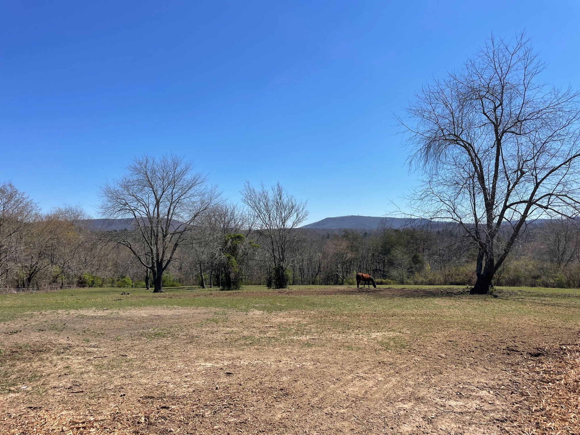 0 Open Range Road Crossville, TN 38555 - Photo 9 of 24 a view of yard with mountain view