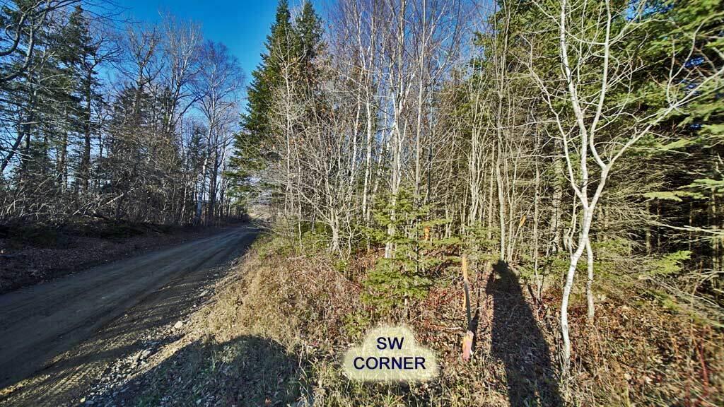 Lot 10 Buckley Road Bridgewater, ME 04735 - Photo 16 of 41 bridgewater-me-land-corner
