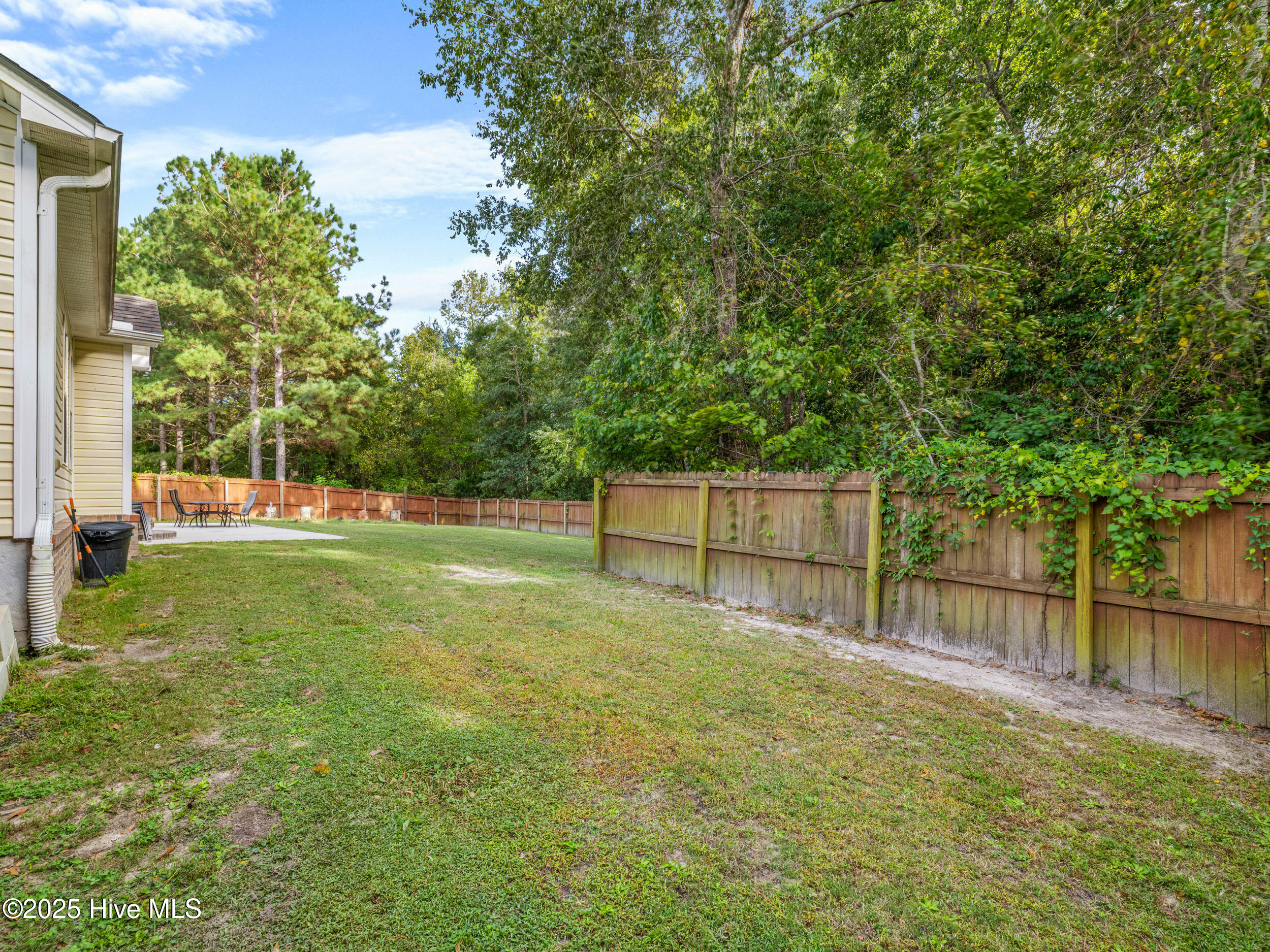 208 Demetrius Court Hubert, NC 28539 - Photo 13 of 55 025a6948