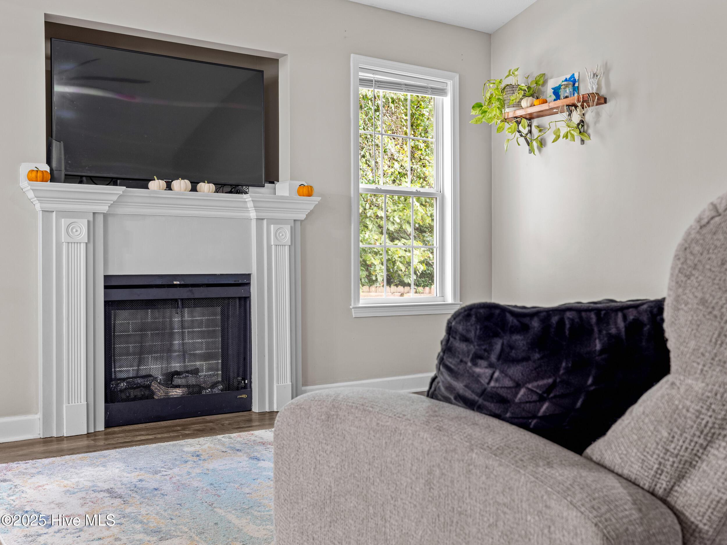 208 Demetrius Court Hubert, NC 28539 - Photo 18 of 55 025a6964