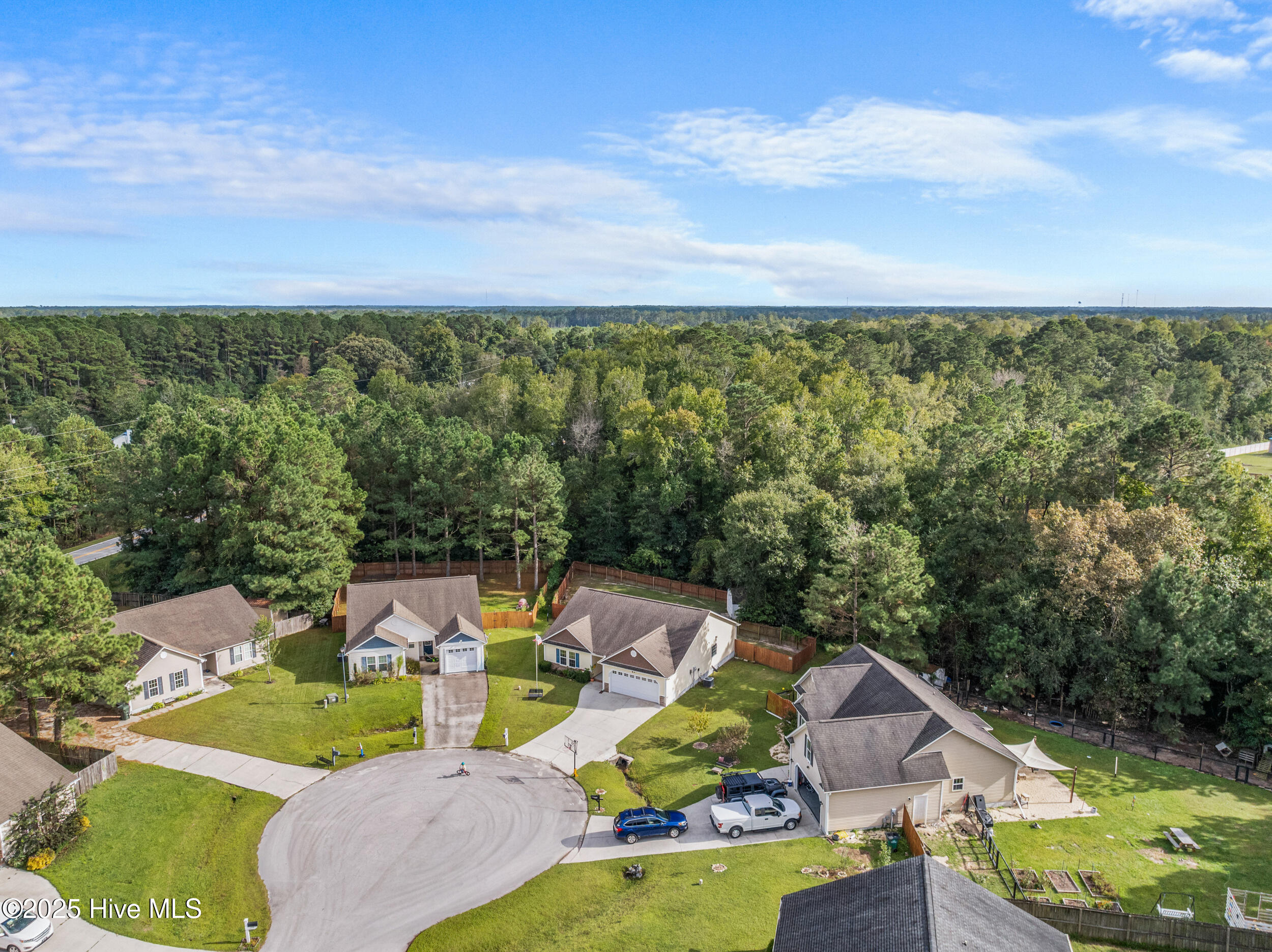 208 Demetrius Court Hubert, NC 28539 - Photo 51 of 55 dji_20250930100838_0007_d