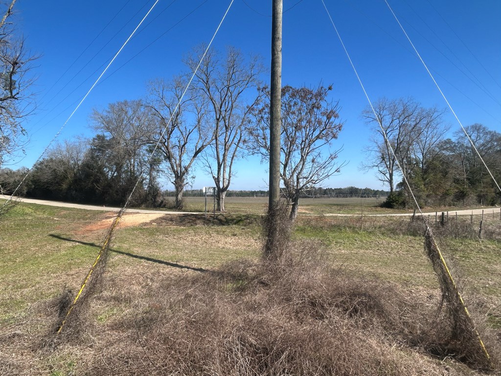 31.5-ac 31.5-ac Rammer Loop Road Dothan, AL 36301 - Photo 27 of 49