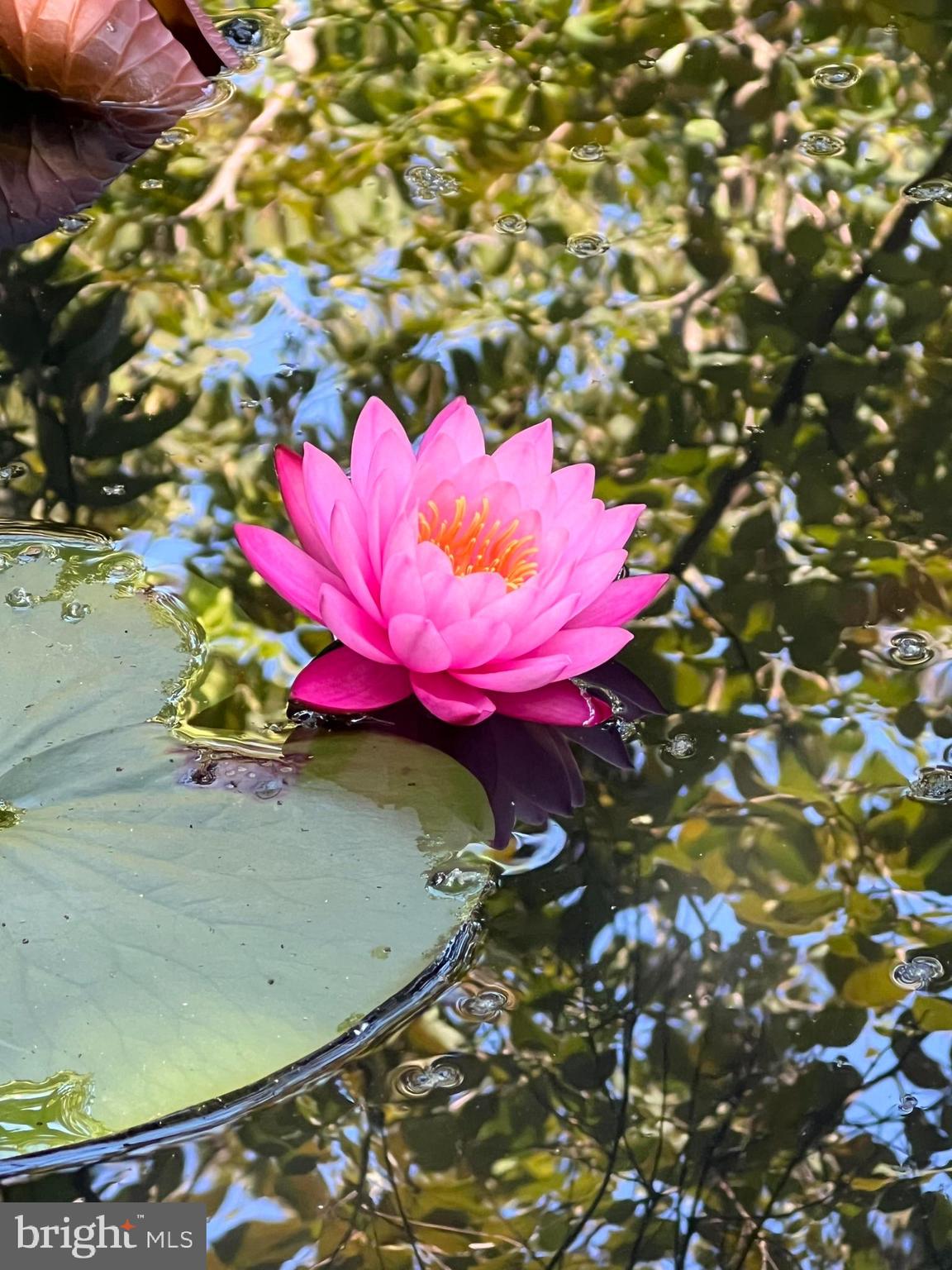 4706 Catalpha Road Baltimore, MD 21214 - Photo 30 of 30