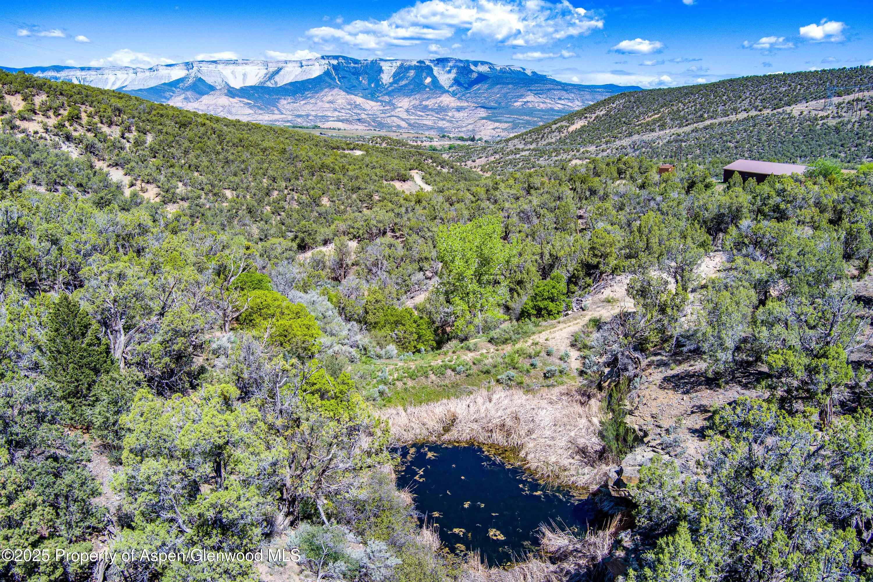 10444 County Road 320 Rifle, CO 81650 - Photo 7 of 48 Drone-15