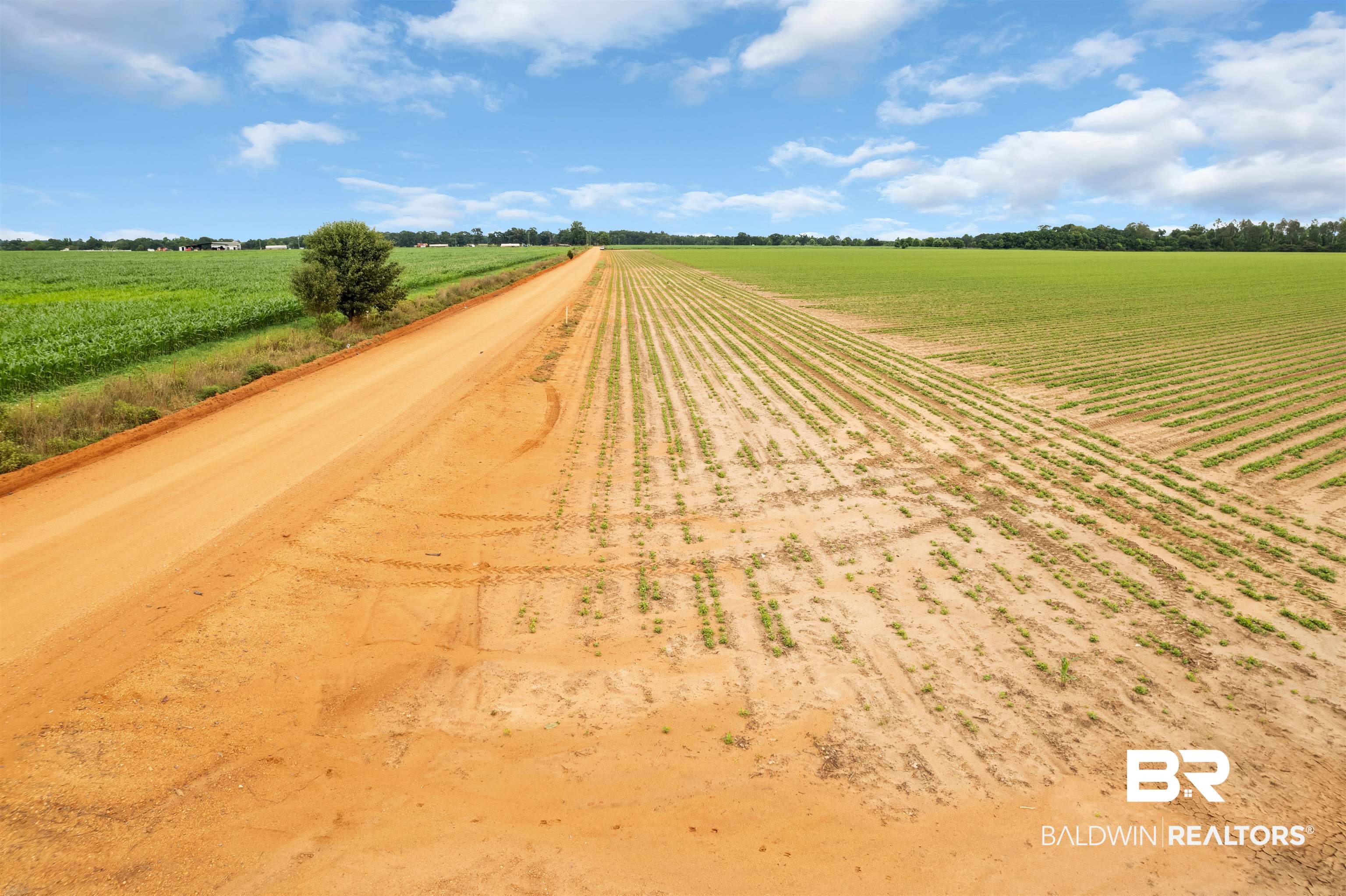 1 Old Stage Road Repton, AL 36475 - Photo 7 of 19 Gallery Image 7