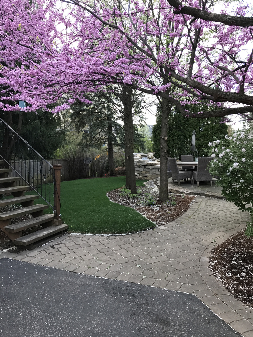 210 North Bruner Street Hinsdale, IL 60521 - Photo 26 of 40