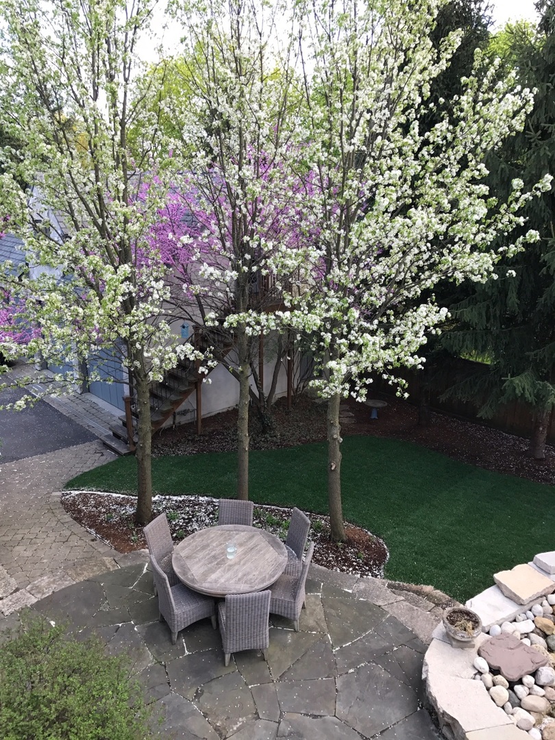 210 North Bruner Street Hinsdale, IL 60521 - Photo 30 of 40