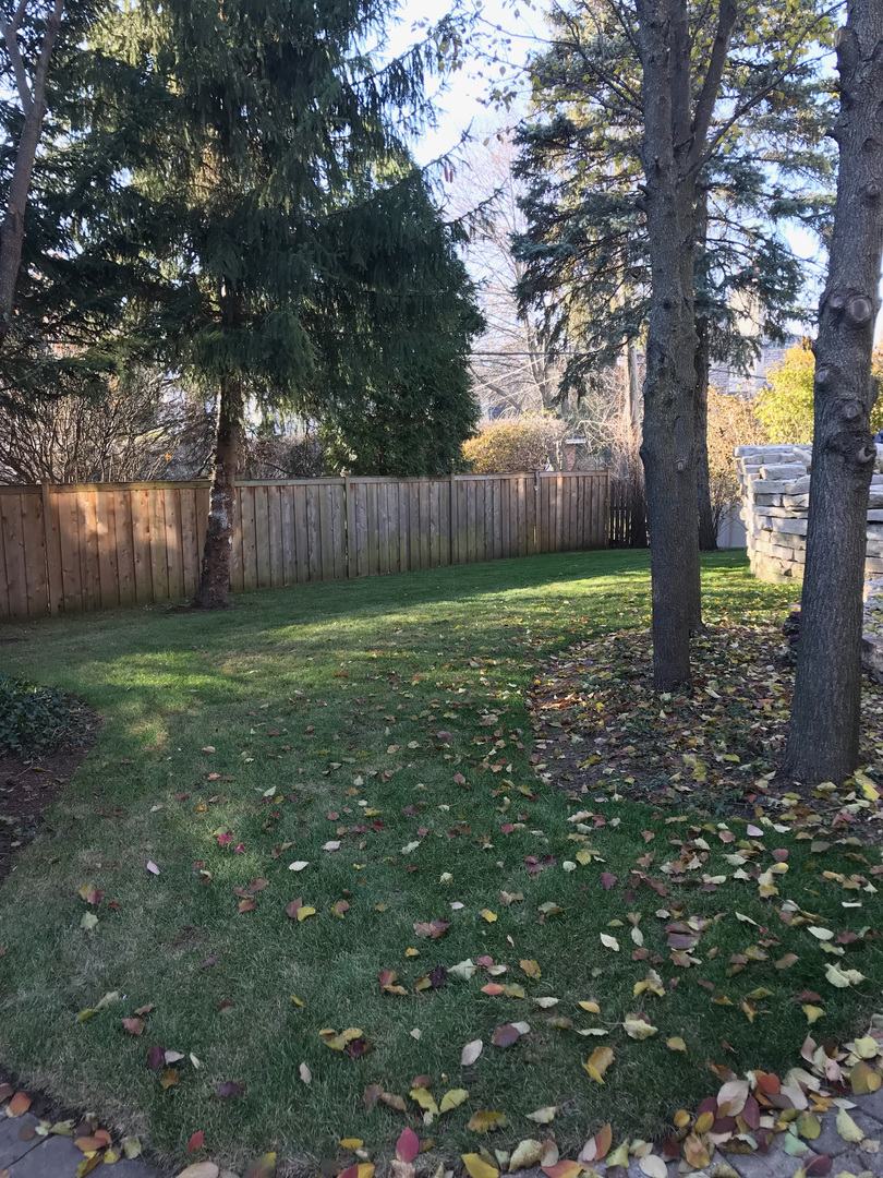 210 North Bruner Street Hinsdale, IL 60521 - Photo 31 of 40