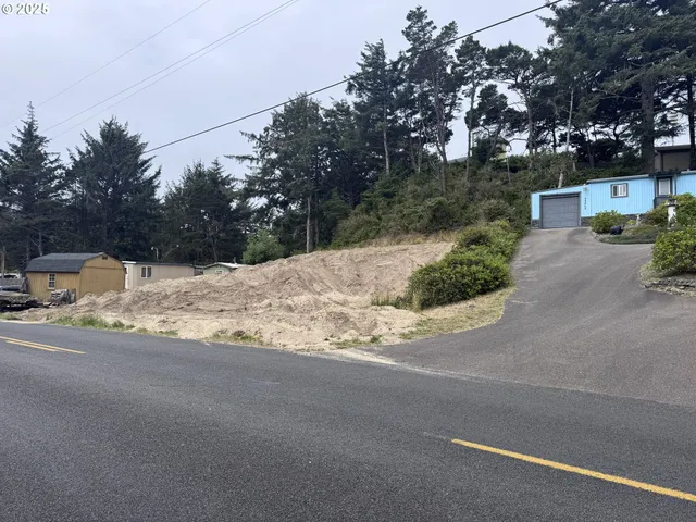 a street view covered with tall trees