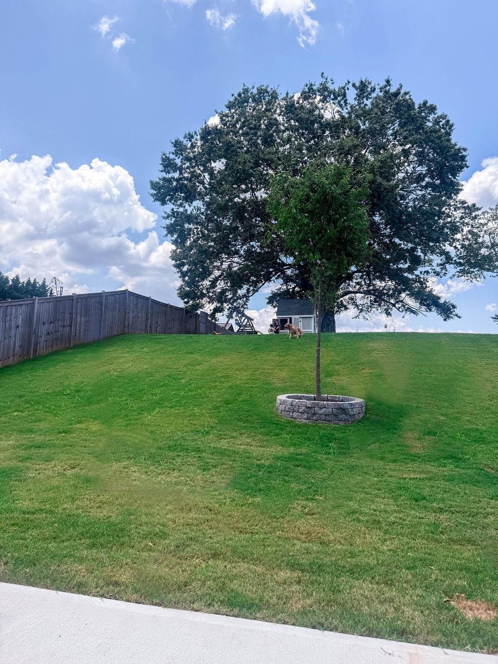 831 Orchard Valley Lane Boiling Springs, SC 29316 - Photo 38 of 38