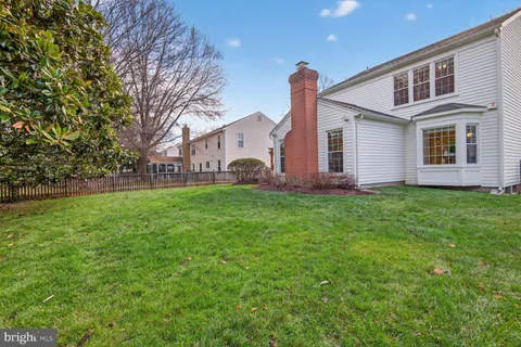 a view of a yard with a large tree