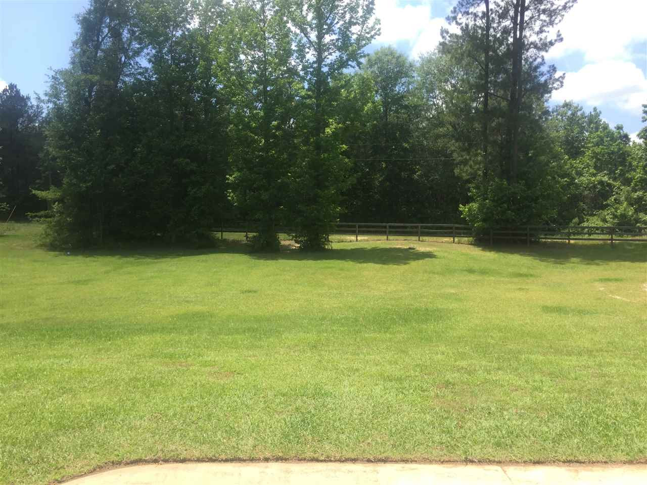 289 Rose Hill Road Mendenhall, MS 39114 - Photo 31 of 41 VIEW FROM FRONT PORCH