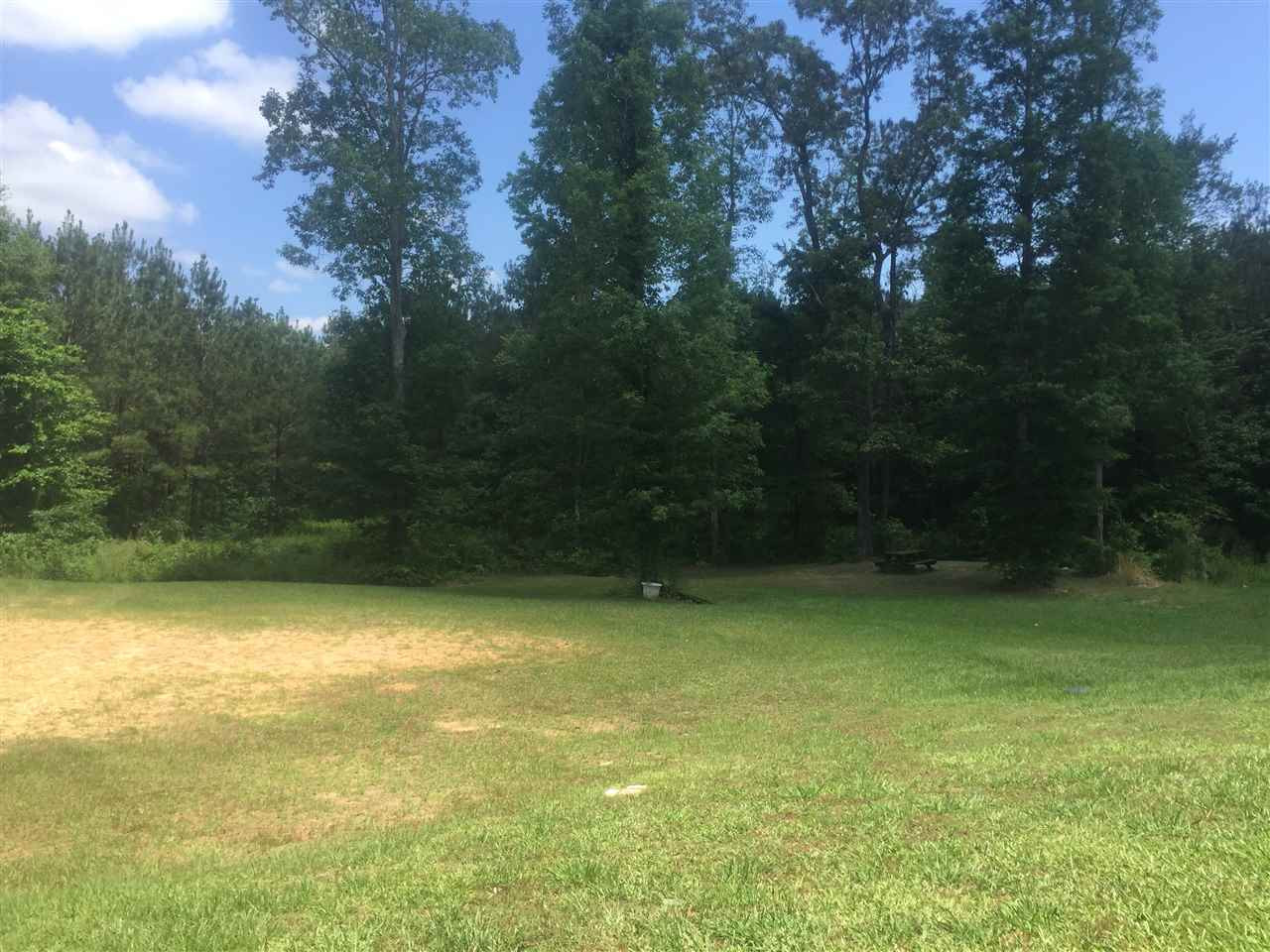 289 Rose Hill Road Mendenhall, MS 39114 - Photo 35 of 41 VIEW FROM BACK PORCH