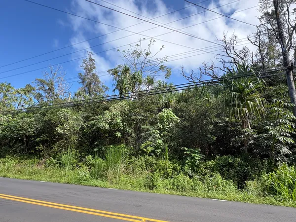 a view of a yard with potted plants