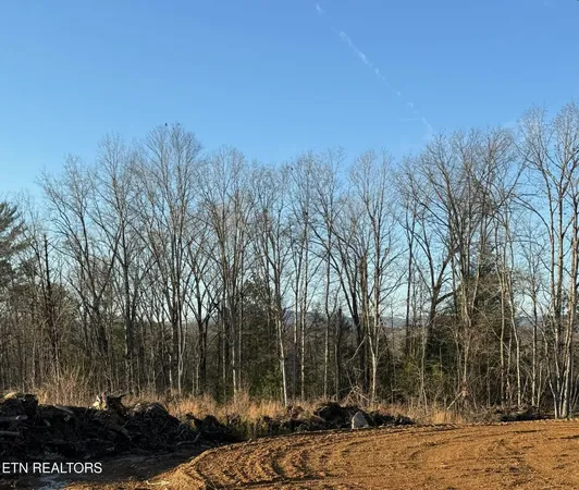 $294,450 | 14 Possum Trot Road, Grandview, TN 37337