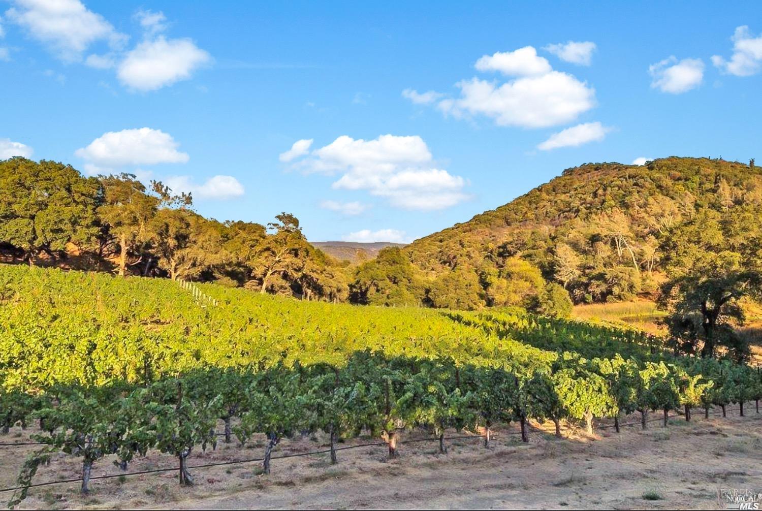 4080 Atlas Peak Road Napa, CA 94558 - Photo 53 of 59