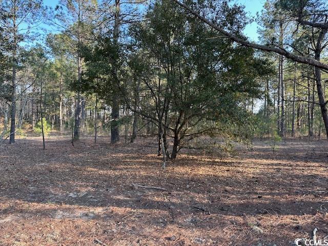 Tbd Lot 3 Tbd Road Loris, SC 29569 - Photo 1 of 3 Gallery Image 1