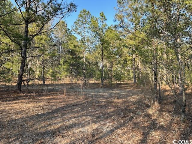 Tbd Lot 3 Tbd Road Loris, SC 29569 - Photo 3 of 3 Gallery Image 3