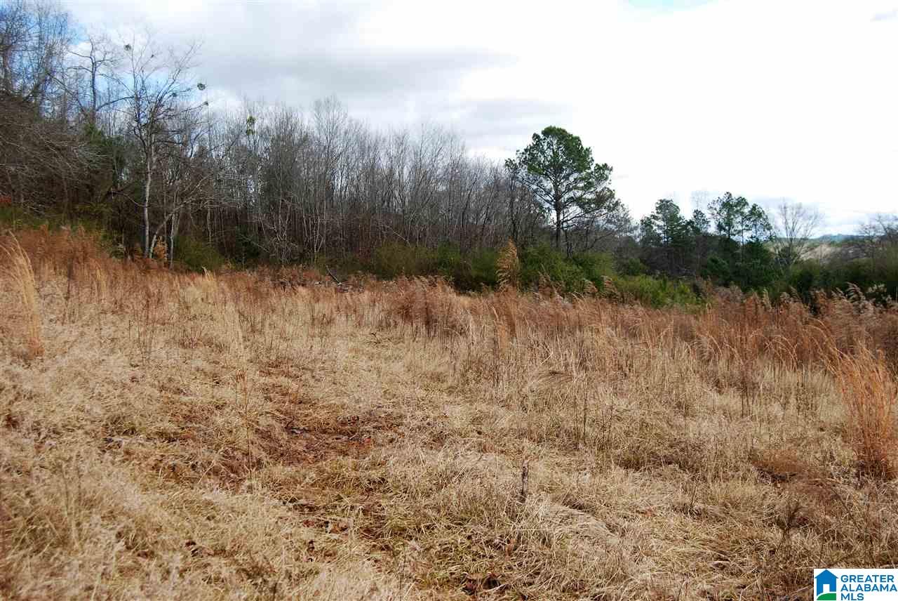 1 Valley Drive, Unit 1 Hamilton, AL 35570 - Photo 6 of 10