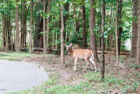 $365,000 | 4811 Gossamer Lane, Unit 106, Raleigh, NC 27616