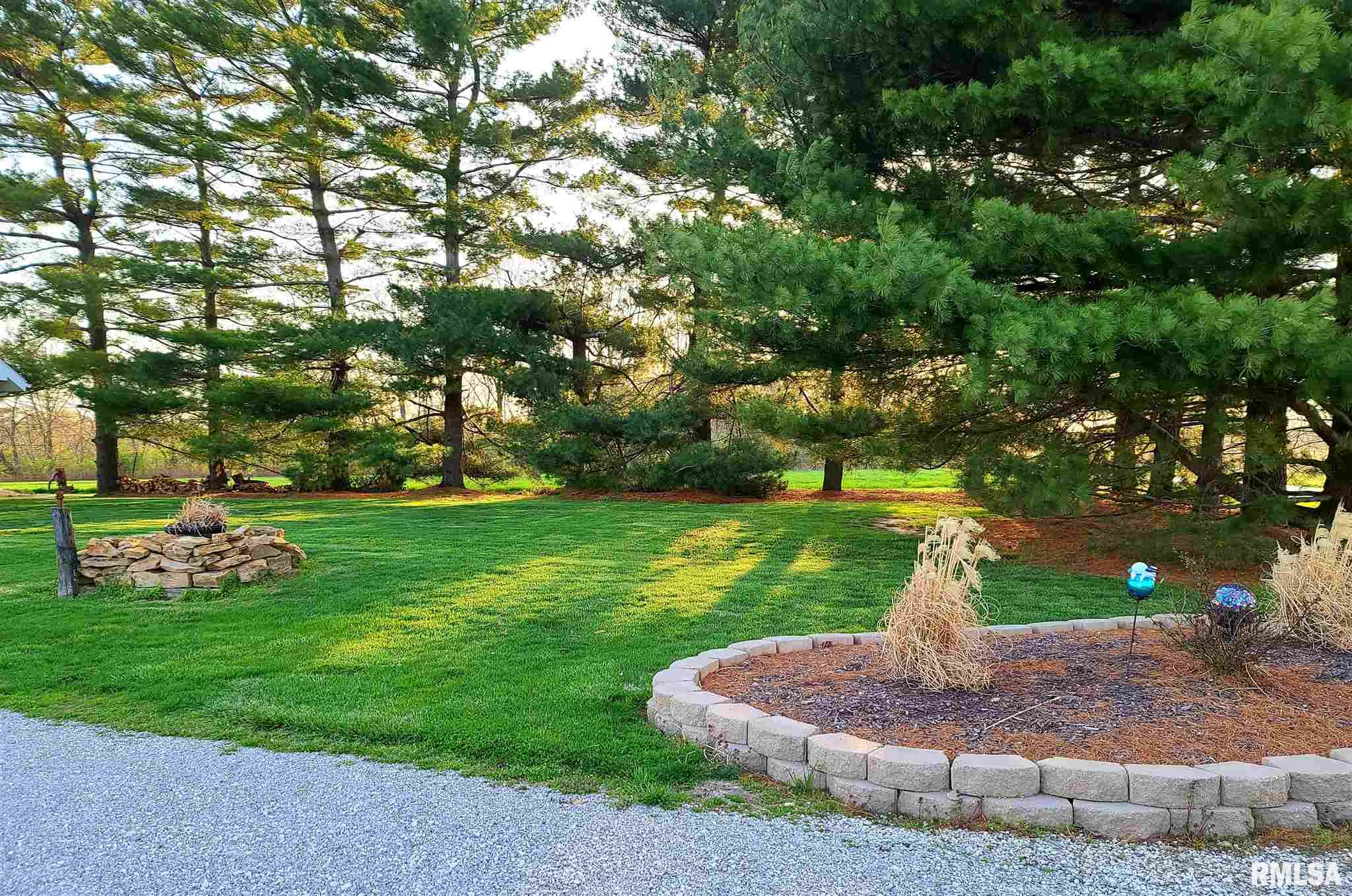 10521 Rinaker Road Carlinville, IL 62626 - Photo 10 of 47