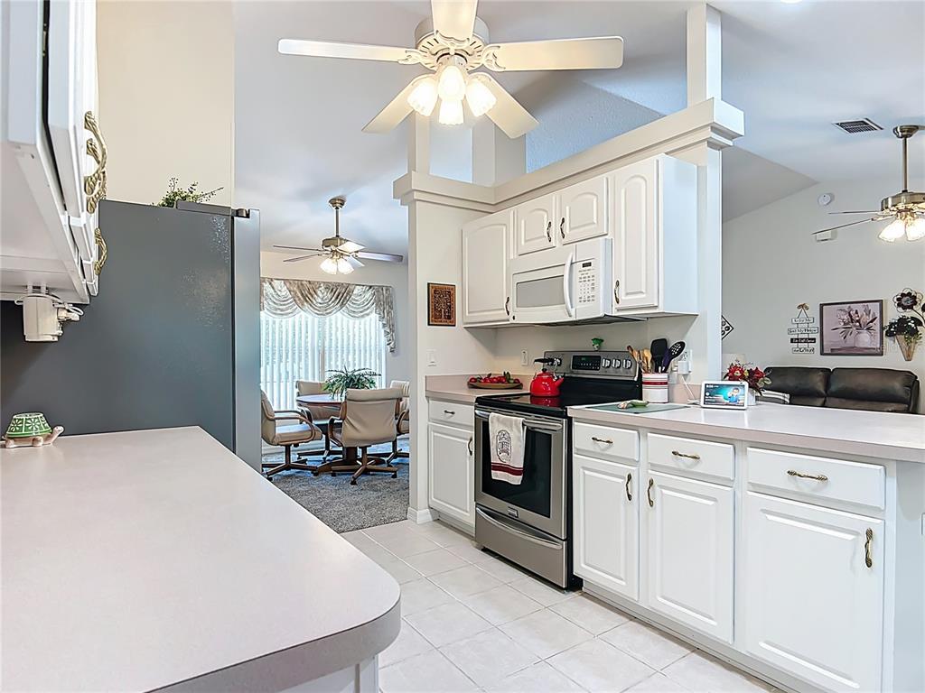 8729 Southwest 60th Circle Ocala, FL 34476 - Photo 19 of 55