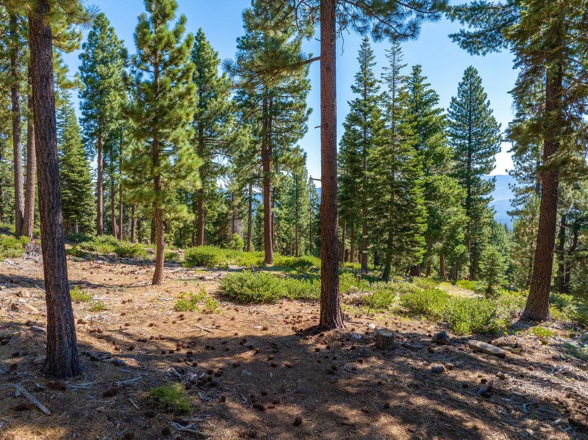 11494 Alder Hill Road Truckee, CA 96161 - Photo 16 of 28