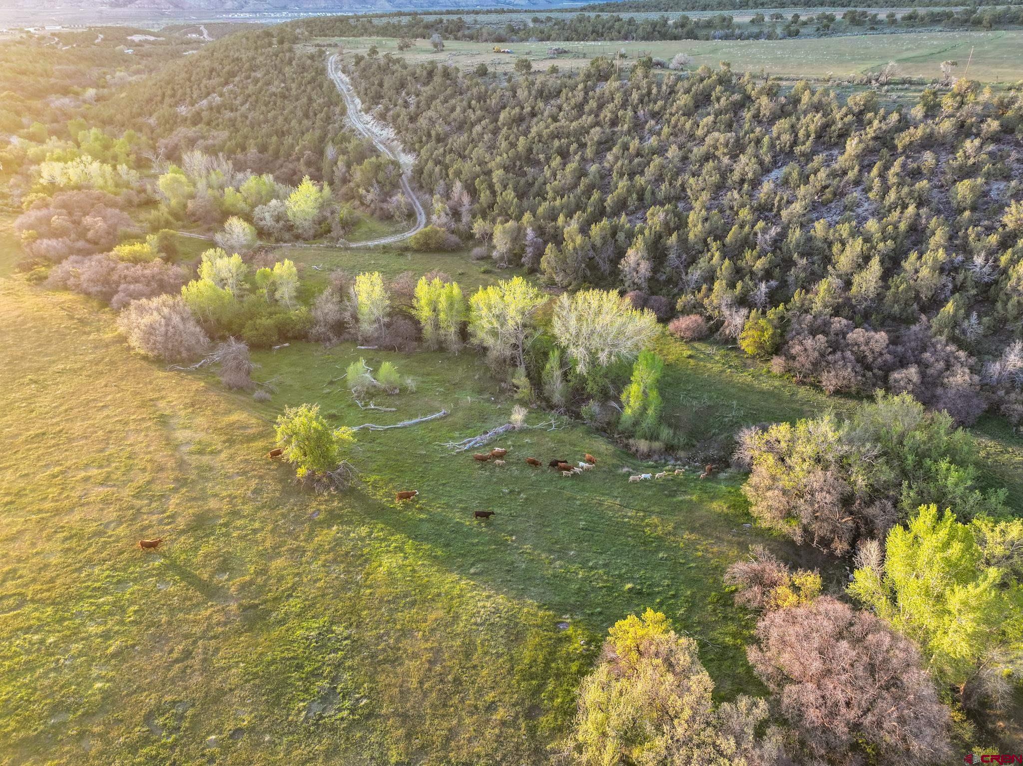 Tbd Co Rd 306 Parachute, CO 81635 - Photo 7 of 15 a view of fountain in middle of the green field