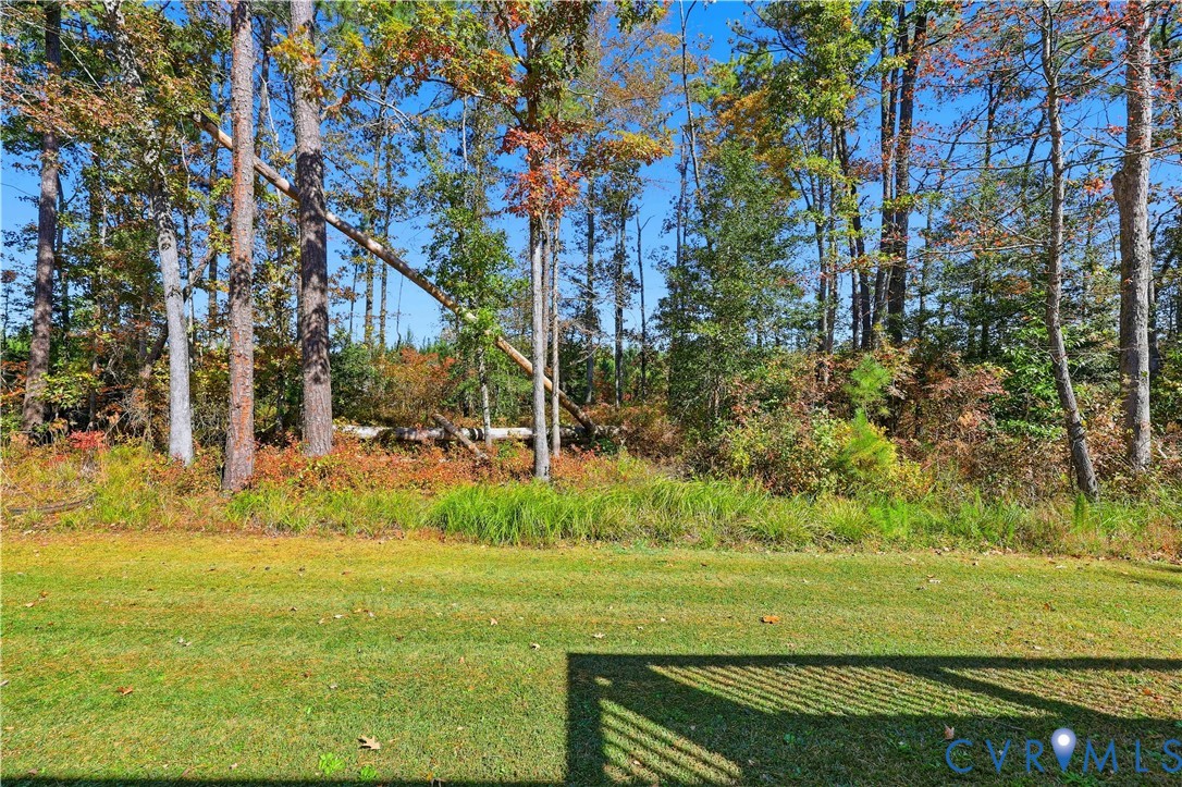 28820 Butler Branch Road Petersburg, VA 23805 - Photo 24 of 27 a view of an outdoor space and a yard