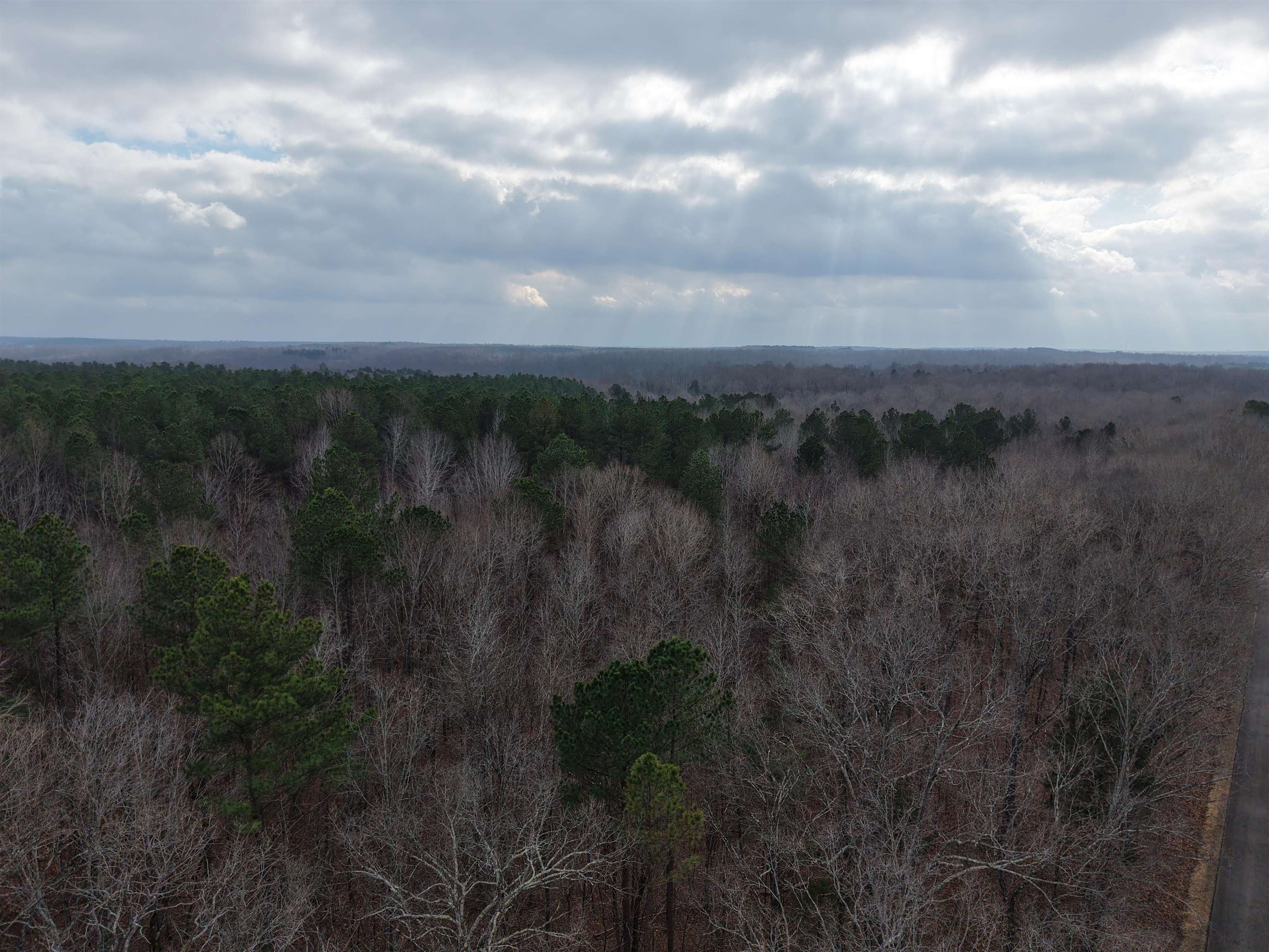 0 Rockport McIllwain Road Holladay, TN 38341 - Photo 2 of 14 a view of a yard and lake in back