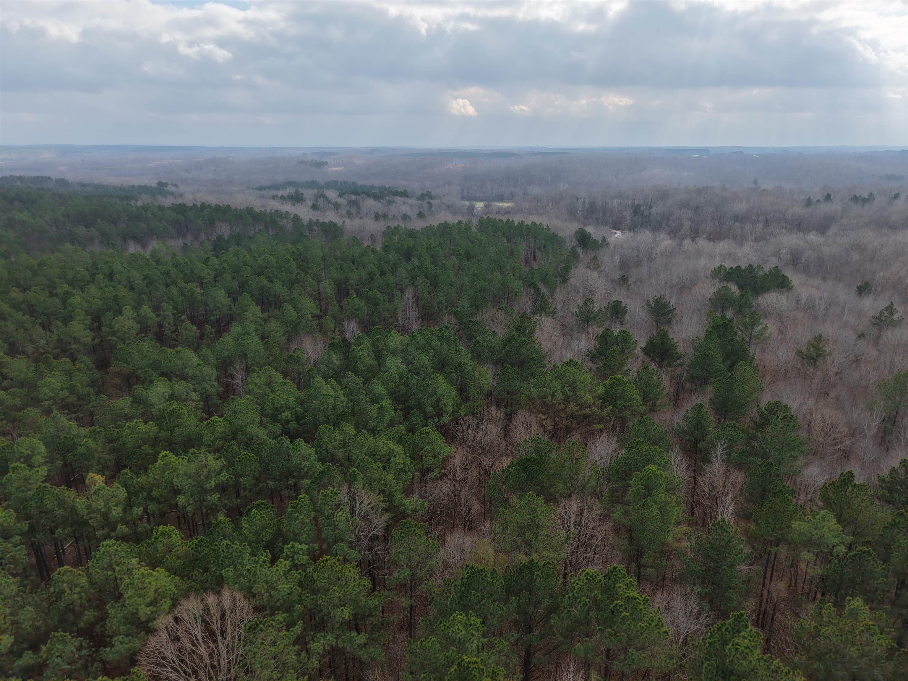 0 Rockport McIllwain Road Holladay, TN 38341 - Photo 3 of 14 a view of a city and green space