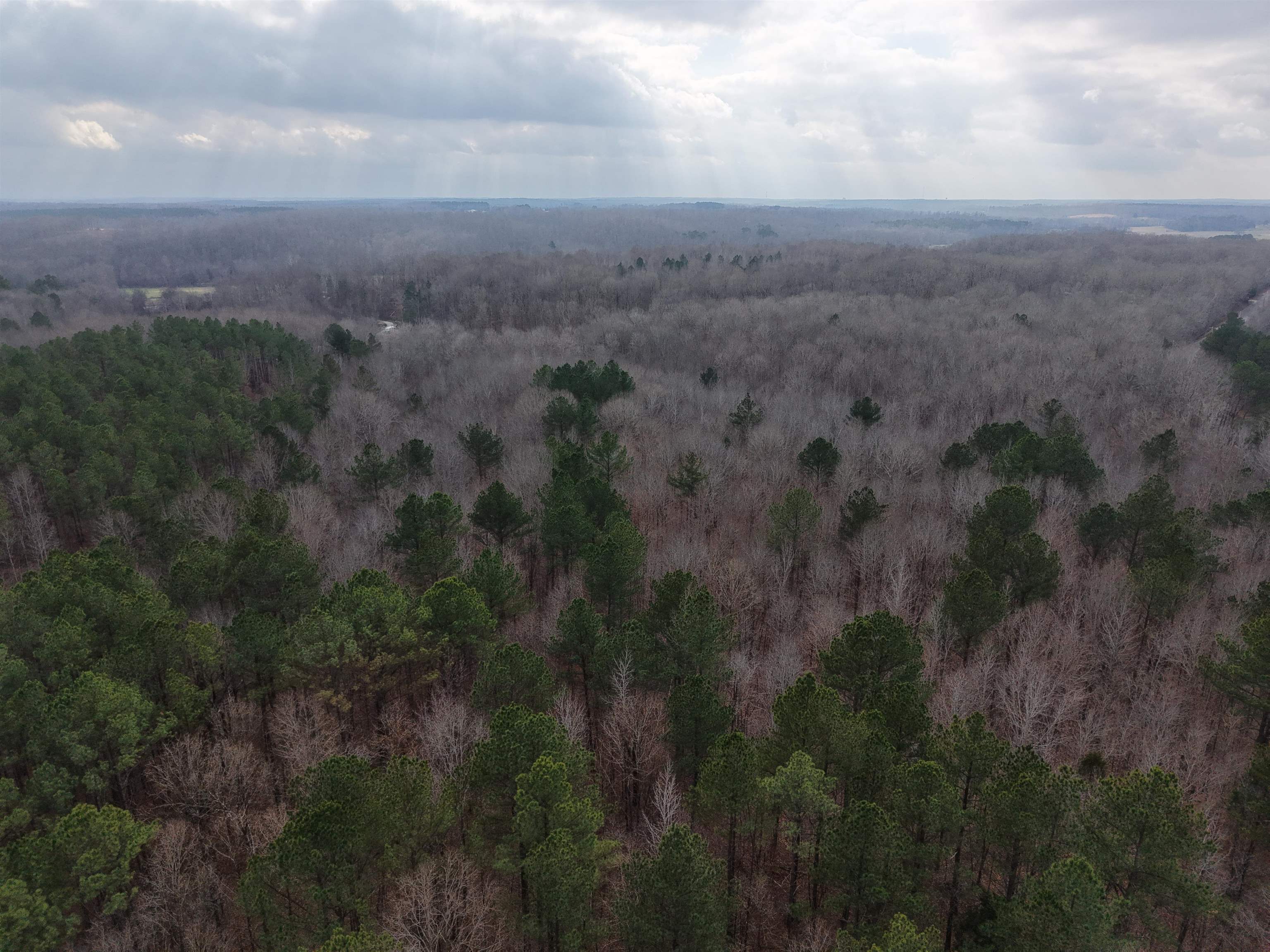 0 Rockport McIllwain Road Holladay, TN 38341 - Photo 4 of 14 a view of a city with lush green forest