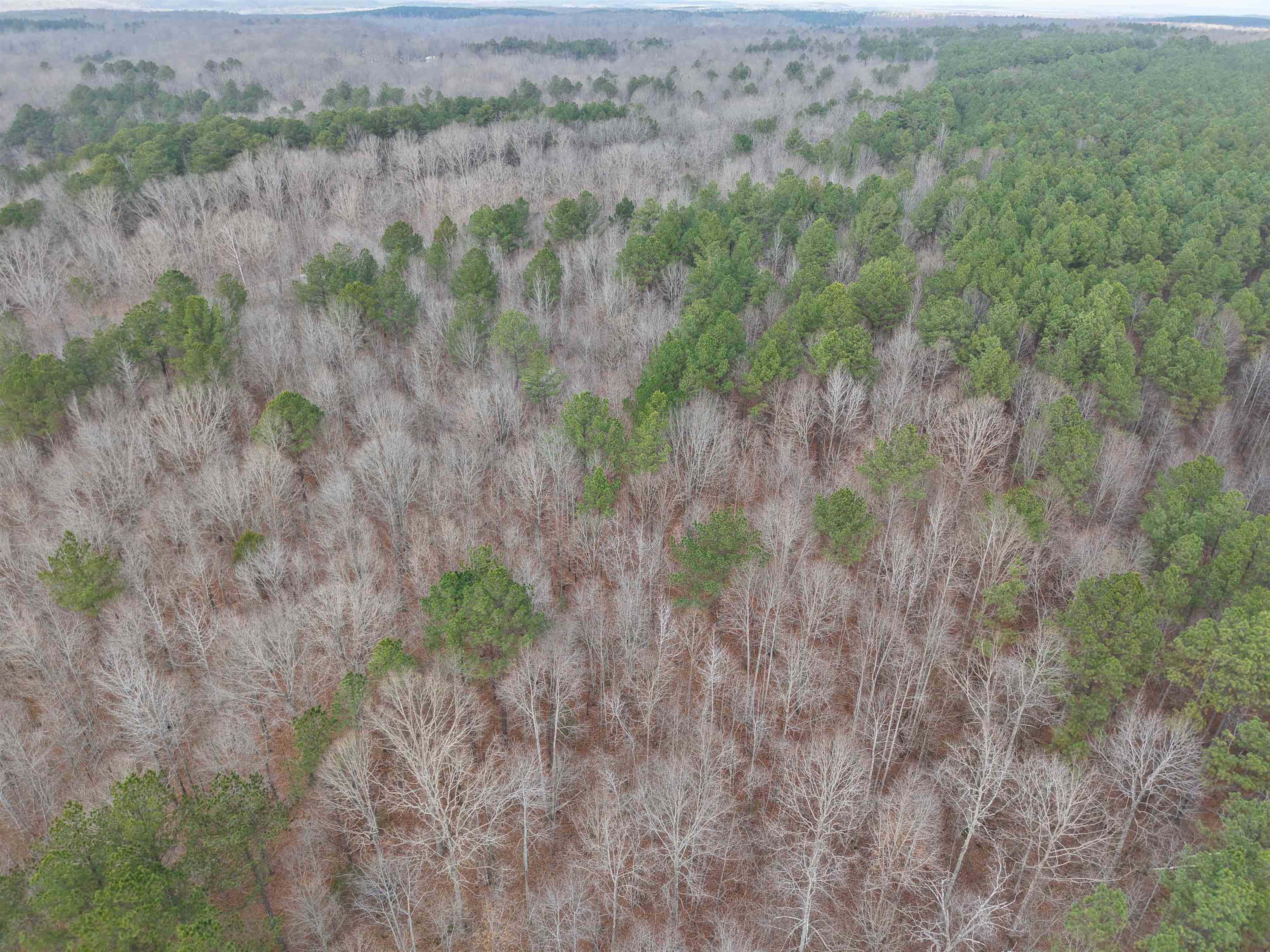 0 Rockport McIllwain Road Holladay, TN 38341 - Photo 8 of 14 a view of a field of grass and trees