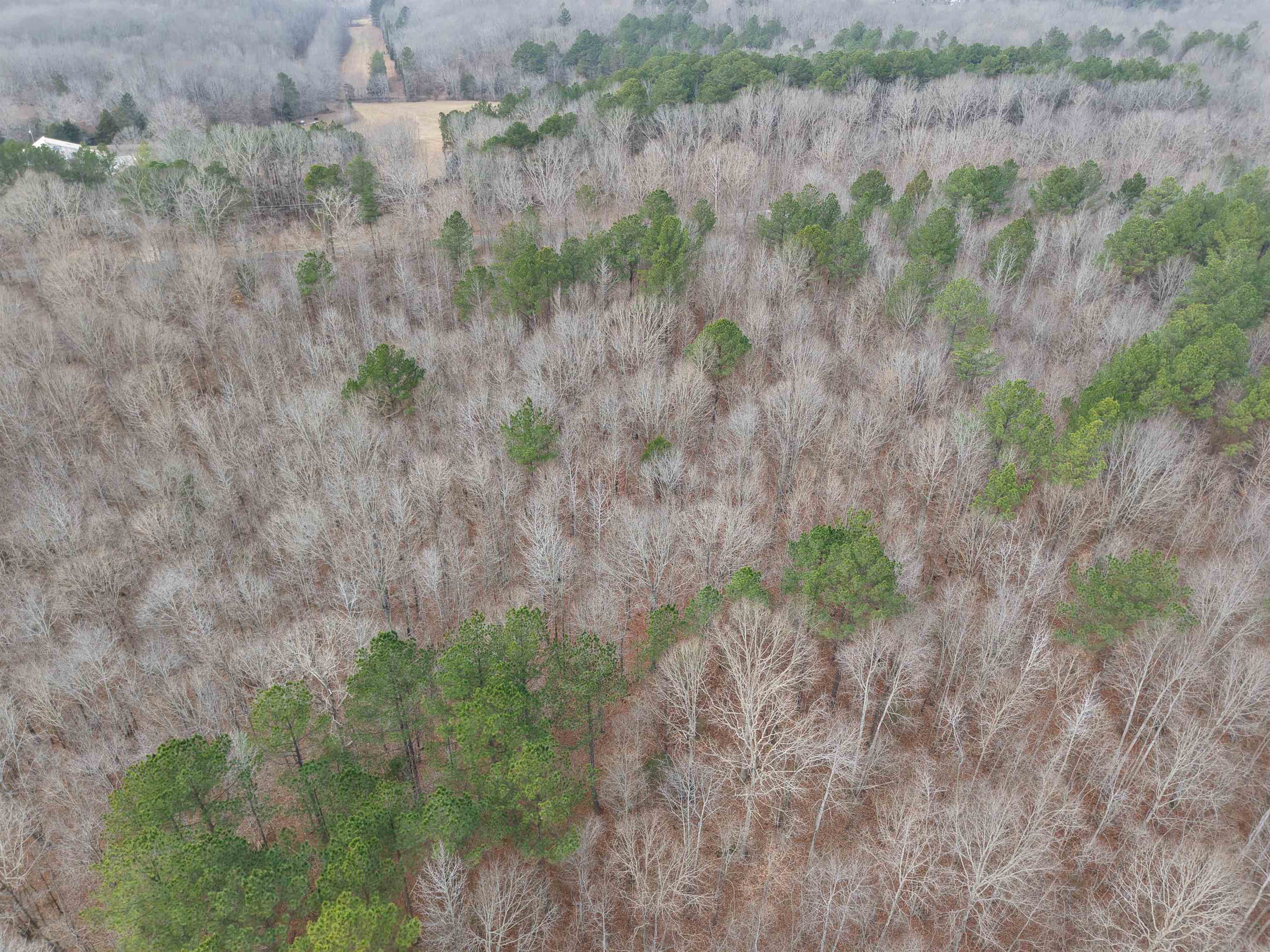 0 Rockport McIllwain Road Holladay, TN 38341 - Photo 9 of 14