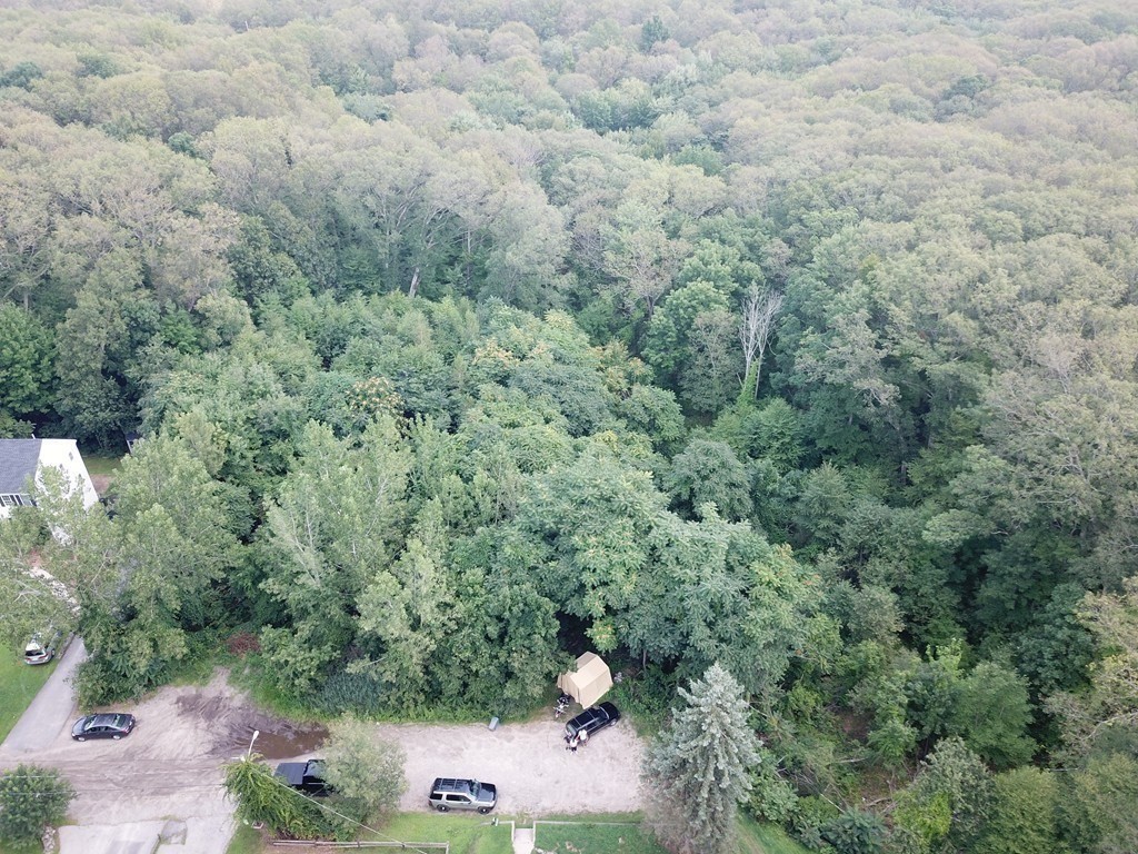 196 Svenson Avenue Worcester, MA 01607 - Photo 2 of 2