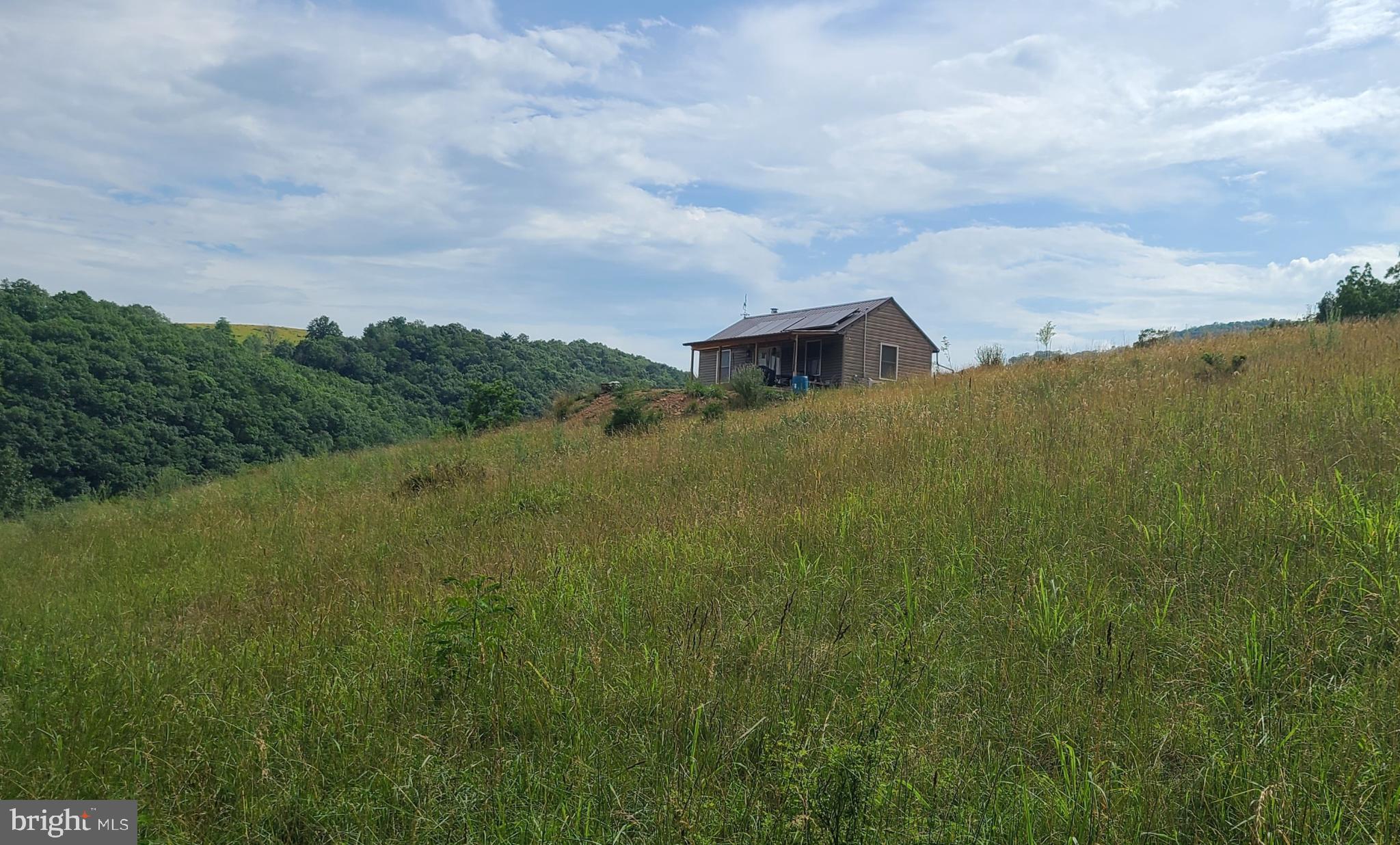 534 Co Rte 10/2 Franklin, WV 26807 - Photo 1 of 39 Serene hillside retreat with lush greenery.