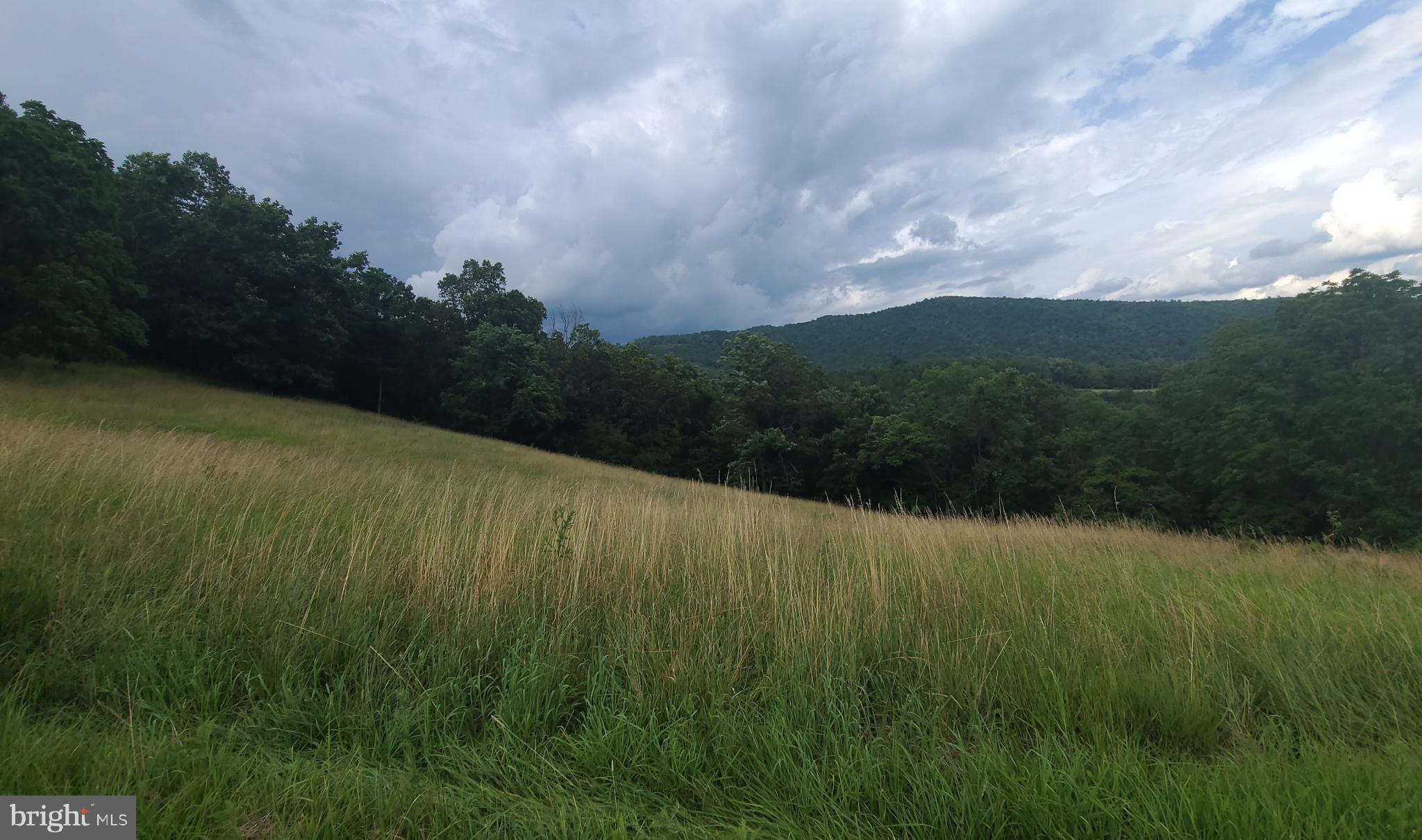 534 Co Rte 10/2 Franklin, WV 26807 - Photo 25 of 39 Beautiful open meadow. Plentiful wildlife.