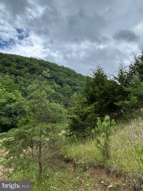 534 Co Rte 10/2 Franklin, WV 26807 - Photo 30 of 39