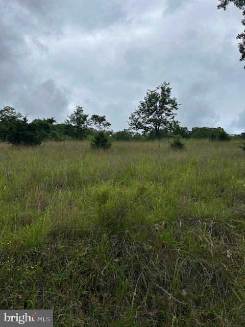 534 Co Rte 10/2 Franklin, WV 26807 - Photo 32 of 39