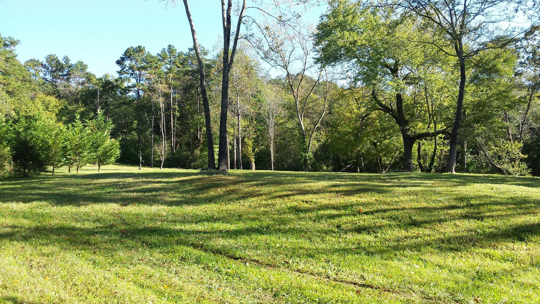 image12