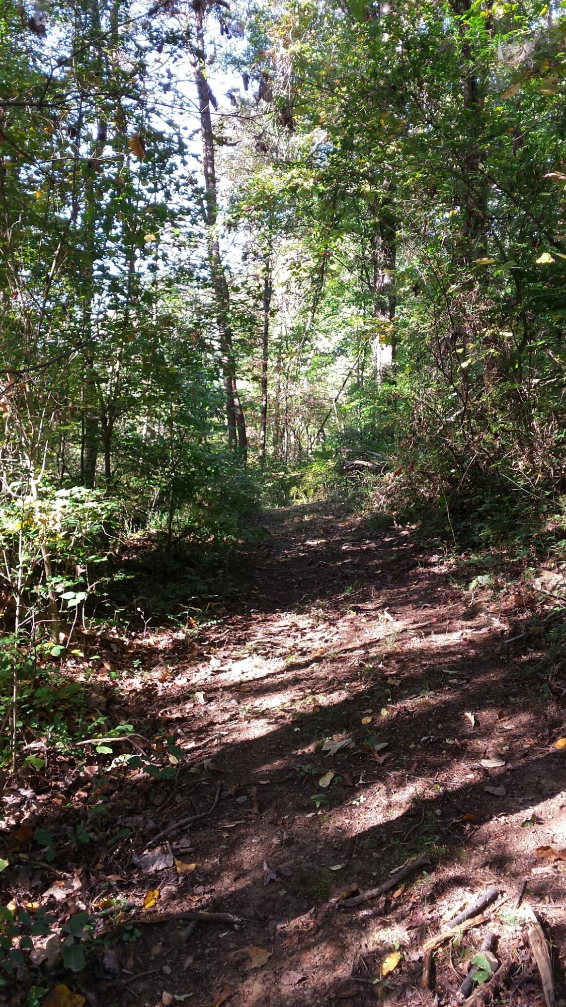 image11