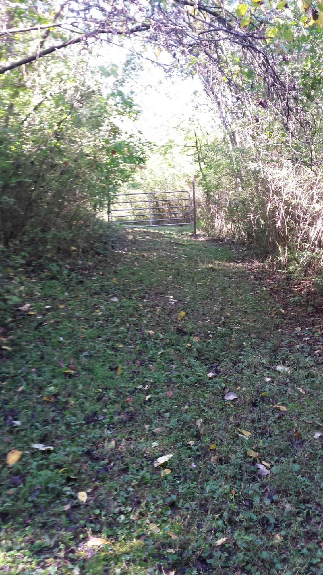 image14