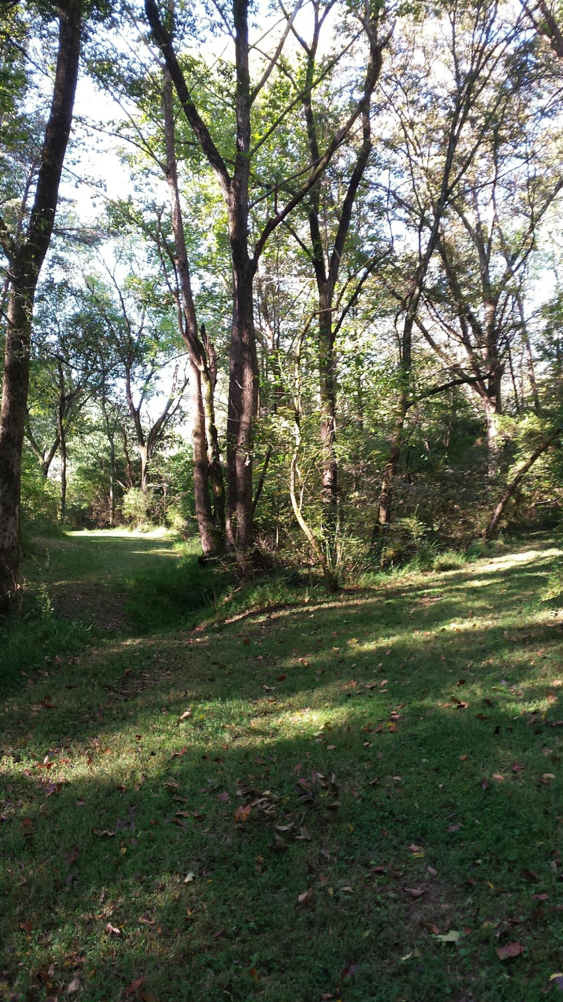 3508 Harris Road Knoxville, TN 37918 - Photo 10 of 11 image6