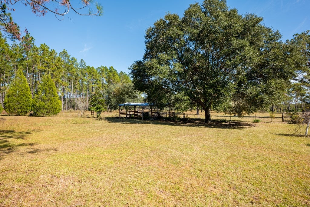 6803 George Road East Lake Park, GA 31636 - Photo 40 of 61 Gallery Image 40