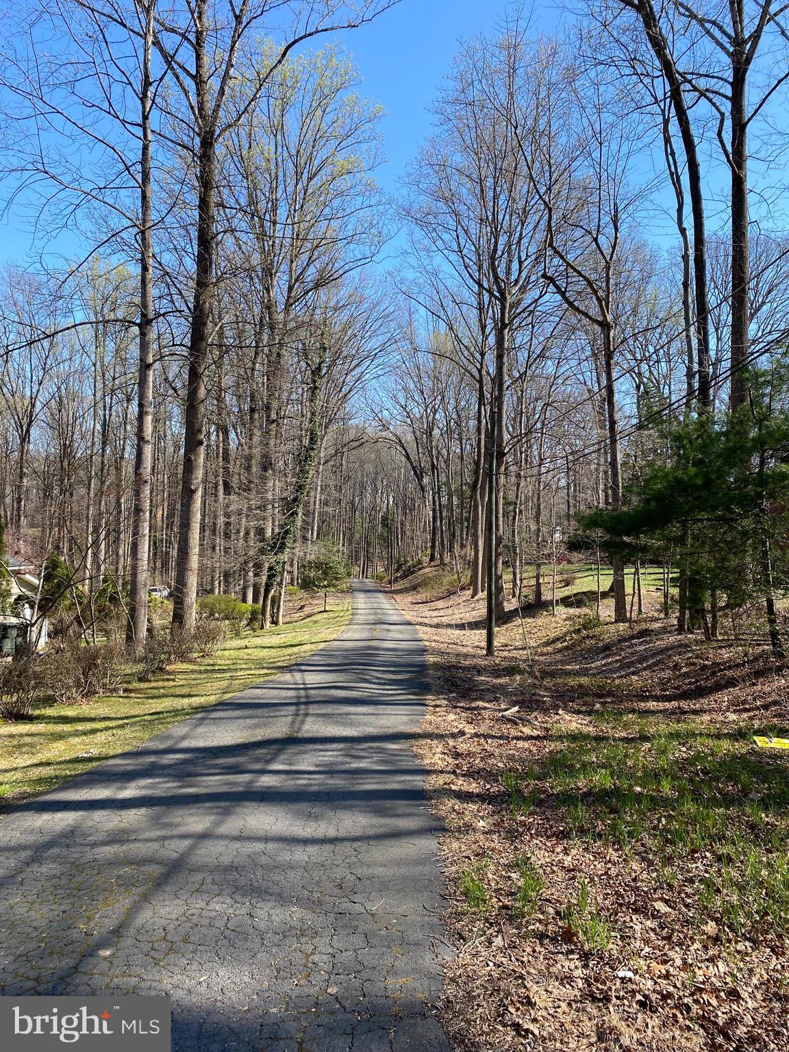 Vale Spring Drive Oakton, VA 22124 - Photo 2 of 10