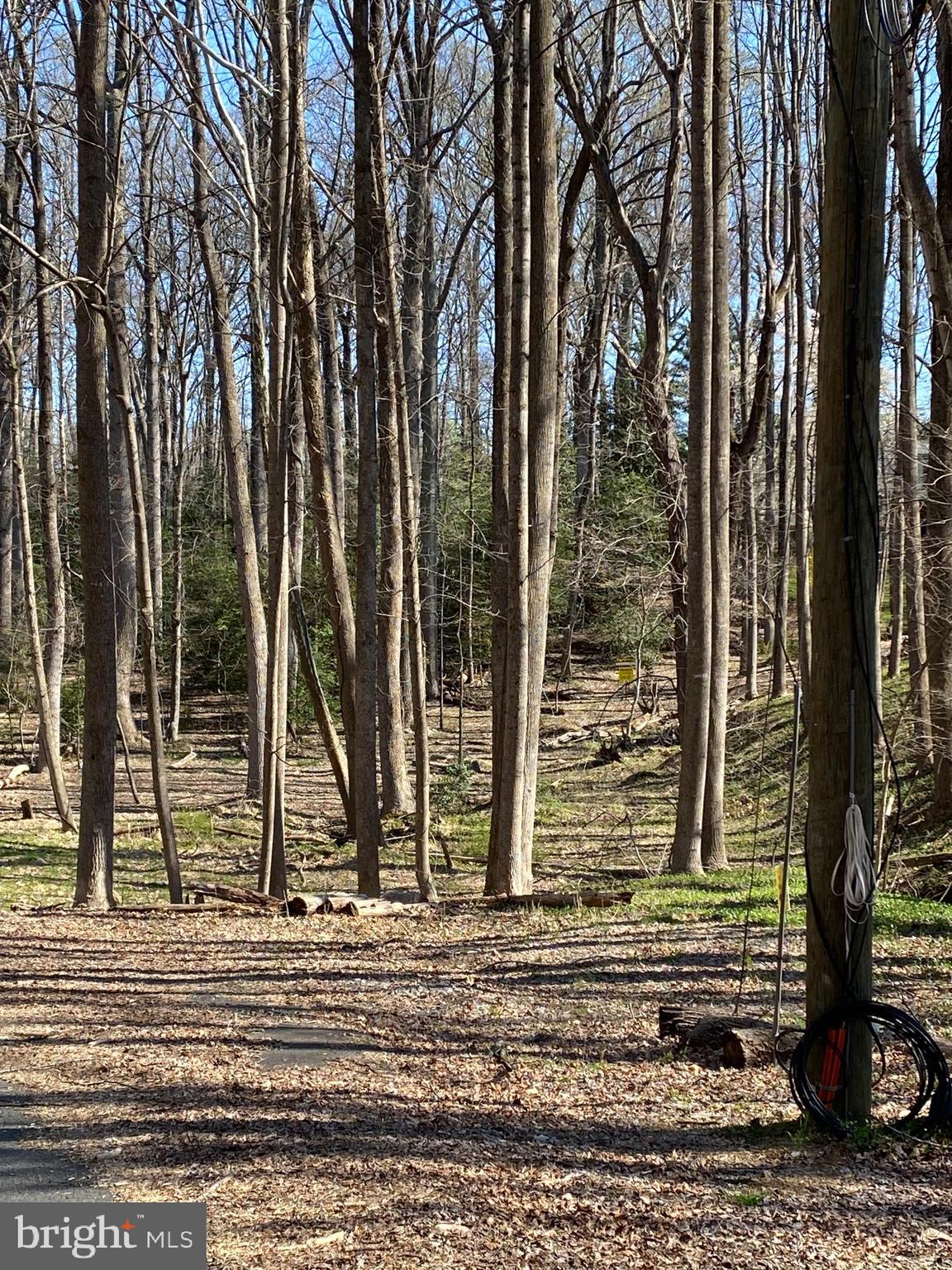 Vale Spring Drive Oakton, VA 22124 - Photo 3 of 10